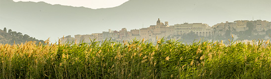 Cagliari vista dal Parco di Molentargius